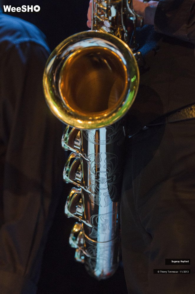 40/42 photos du spectacle Sugaray Rayford