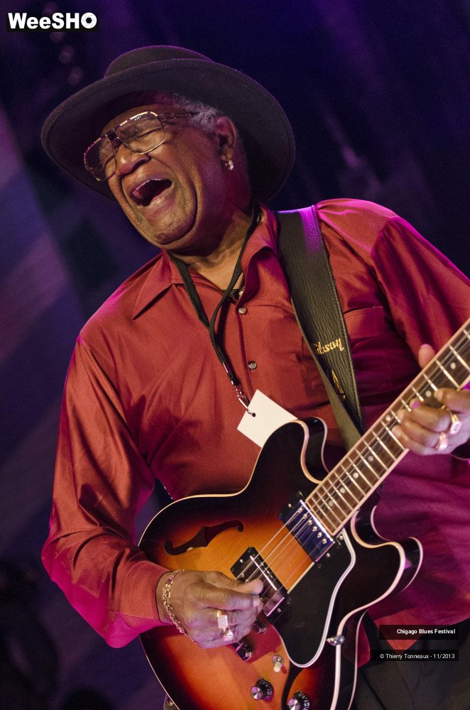 15/26 photos du spectacle Chigago Blues Festival
