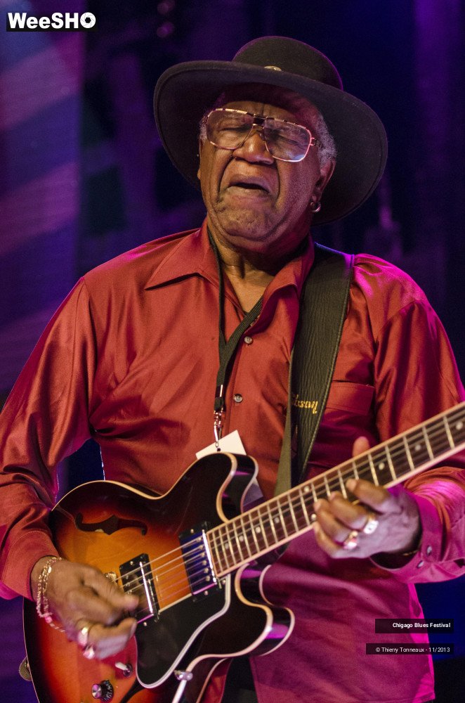 25/26 photos du spectacle Chigago Blues Festival