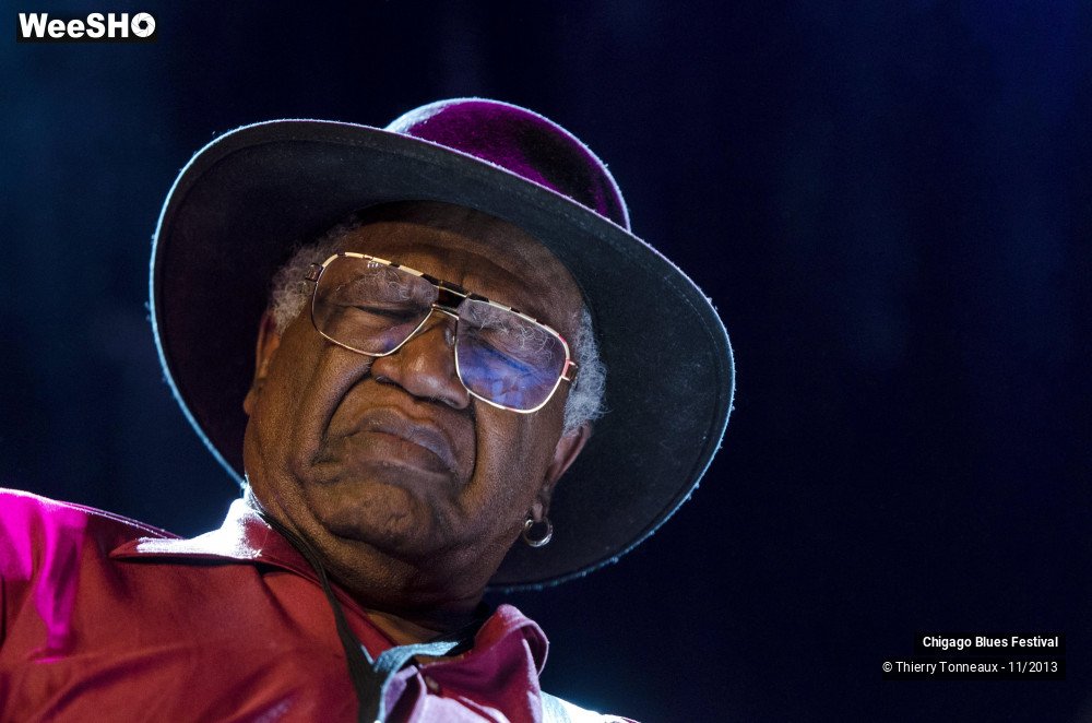 26/26 photos du spectacle Chigago Blues Festival