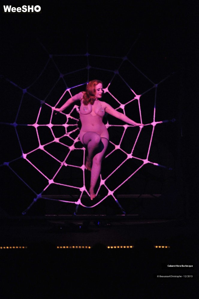 54/60 photos du spectacle Cabaret New Burlesque