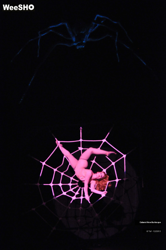 20/60 photos du spectacle Cabaret New Burlesque