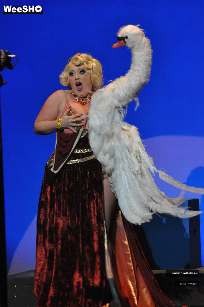37/60 photos du spectacle Cabaret New Burlesque