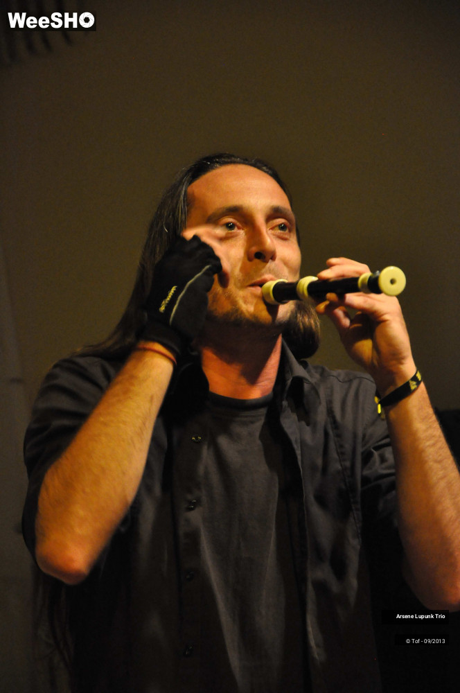 28/41 photos du spectacle Arsène Lupunk Trio