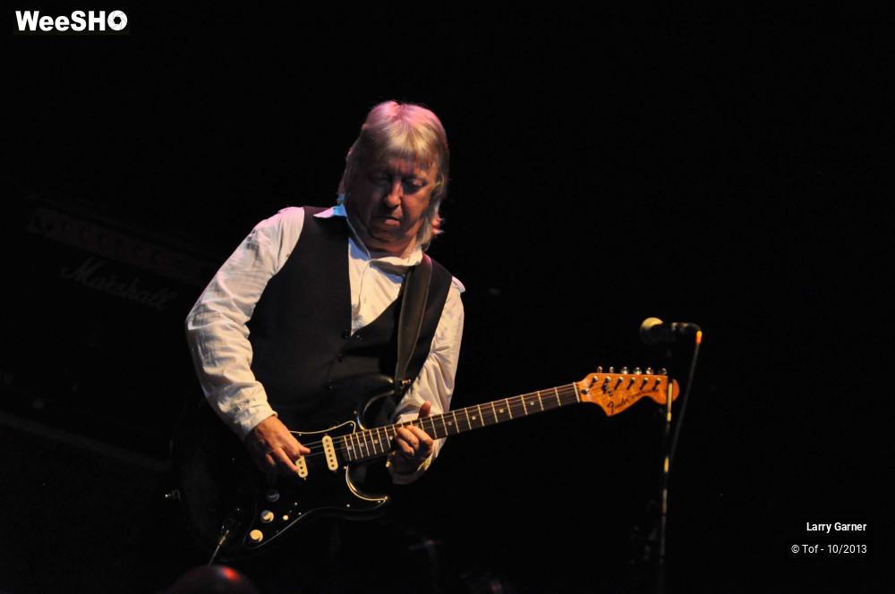 37/45 photos du spectacle Larry Garner