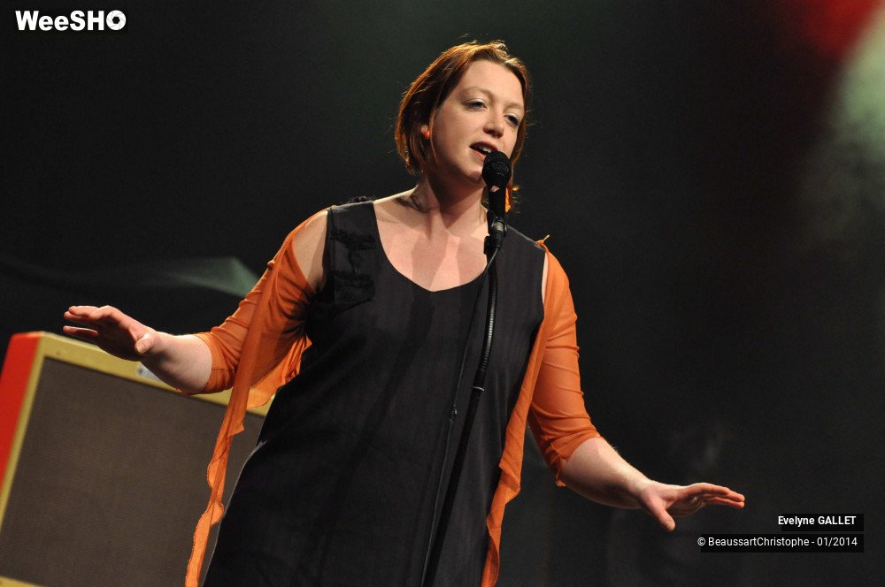 34/38 photos du spectacle Evelyne Gallet
