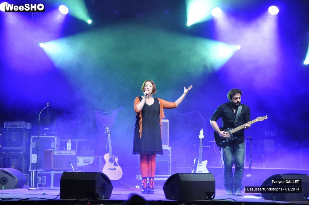 35/38 photos du spectacle Evelyne Gallet