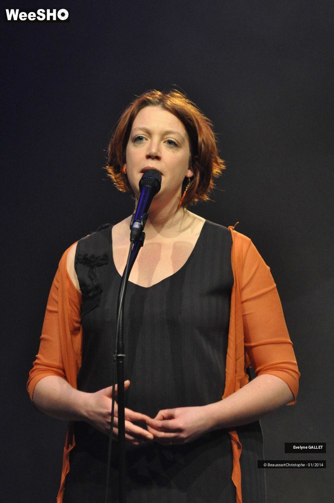 37/38 photos du spectacle Evelyne Gallet