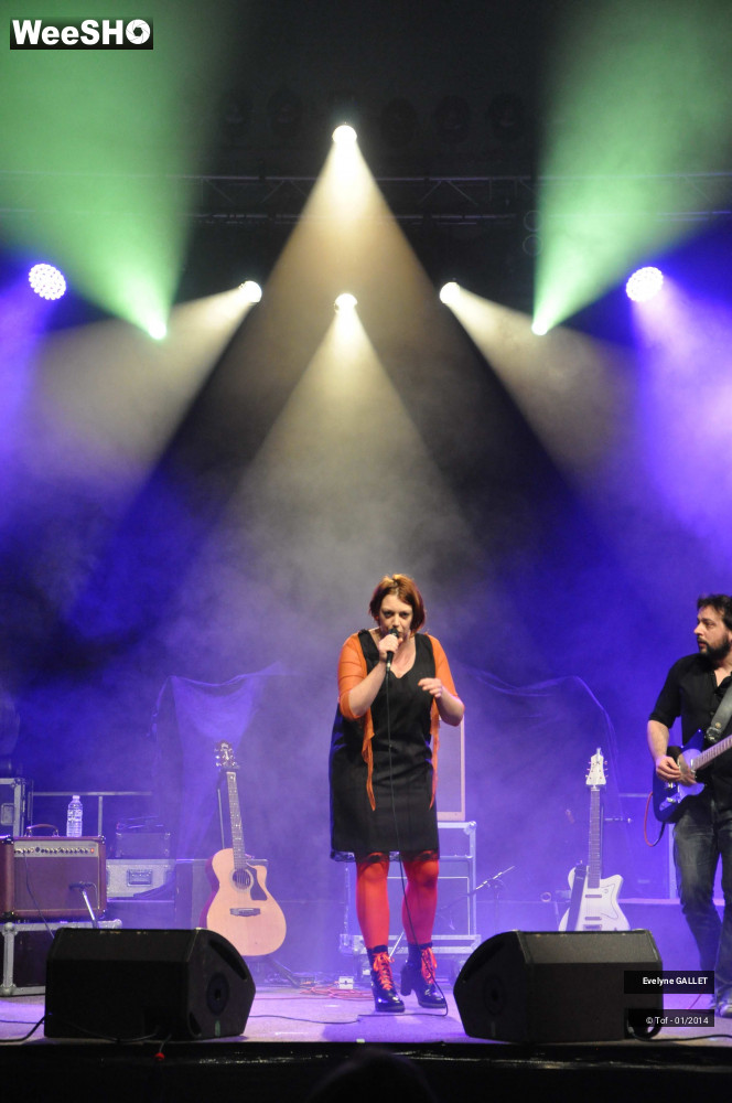 2/38 photos du spectacle Evelyne Gallet