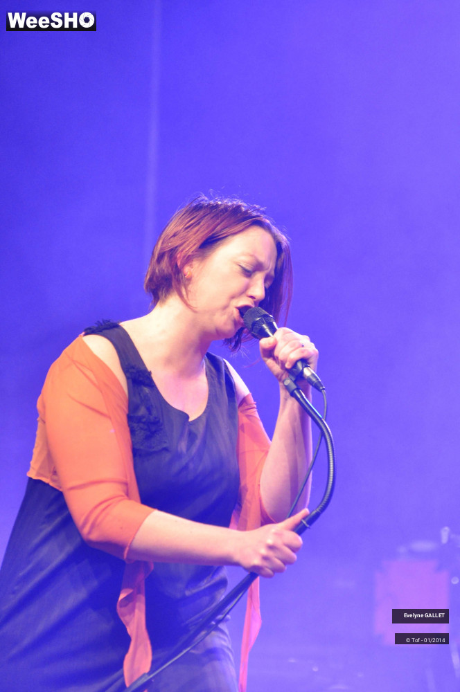 8/38 photos du spectacle Evelyne Gallet