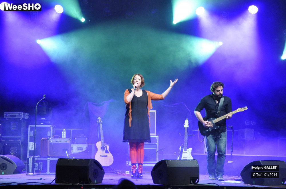 11/38 photos du spectacle Evelyne Gallet