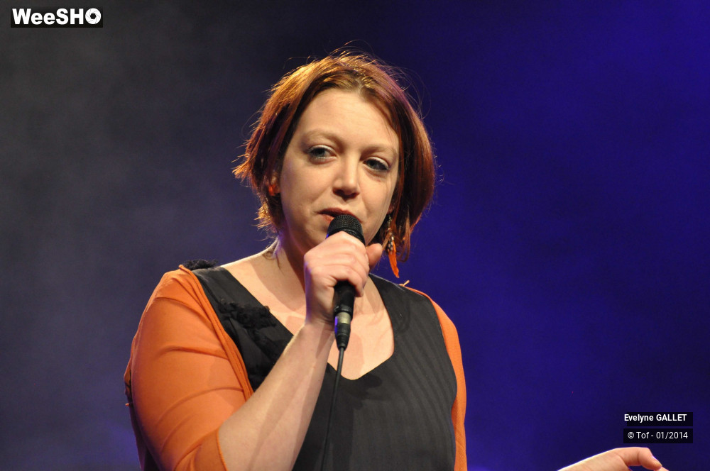 12/38 photos du spectacle Evelyne Gallet