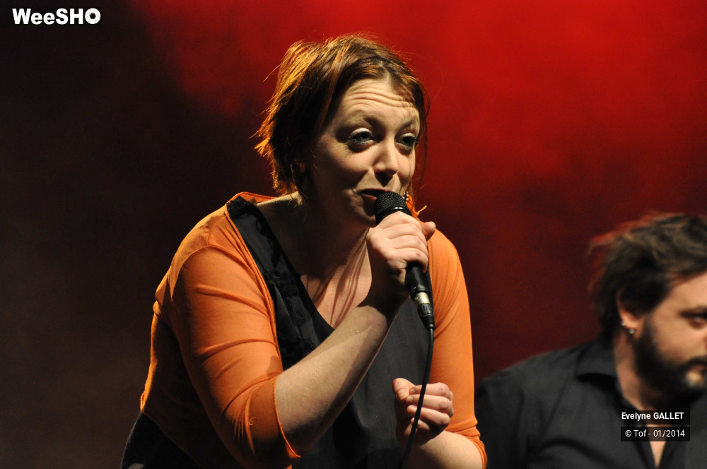 13/38 photos du spectacle Evelyne Gallet