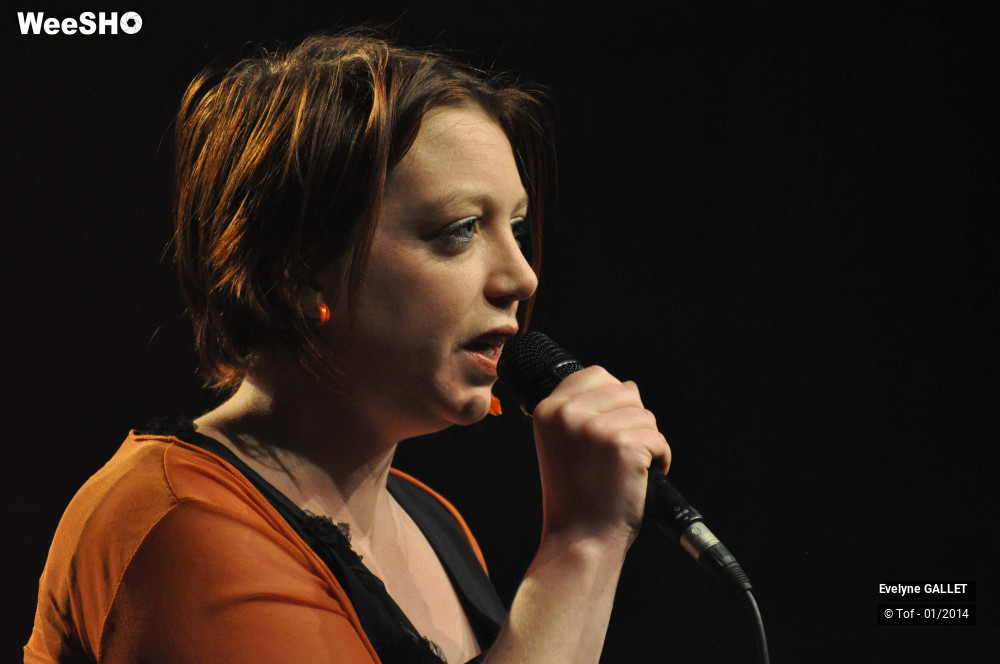 15/38 photos du spectacle Evelyne Gallet
