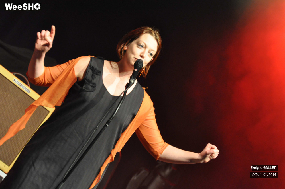 16/38 photos du spectacle Evelyne Gallet