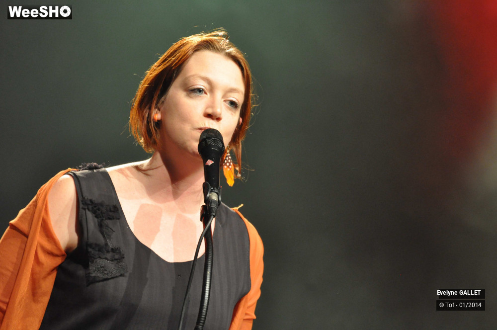 17/38 photos du spectacle Evelyne Gallet