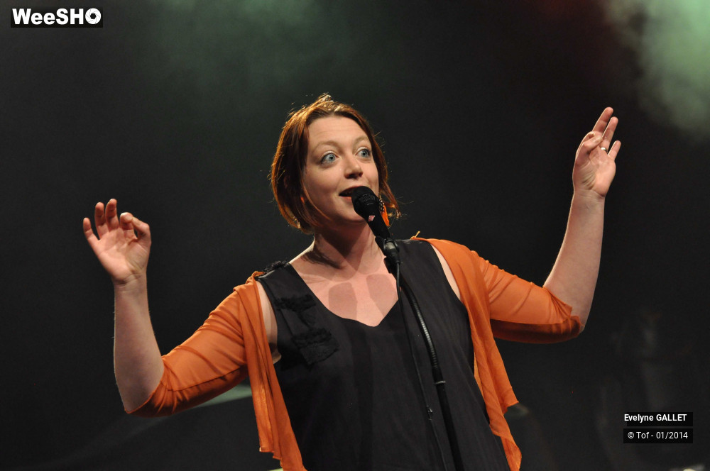 19/38 photos du spectacle Evelyne Gallet