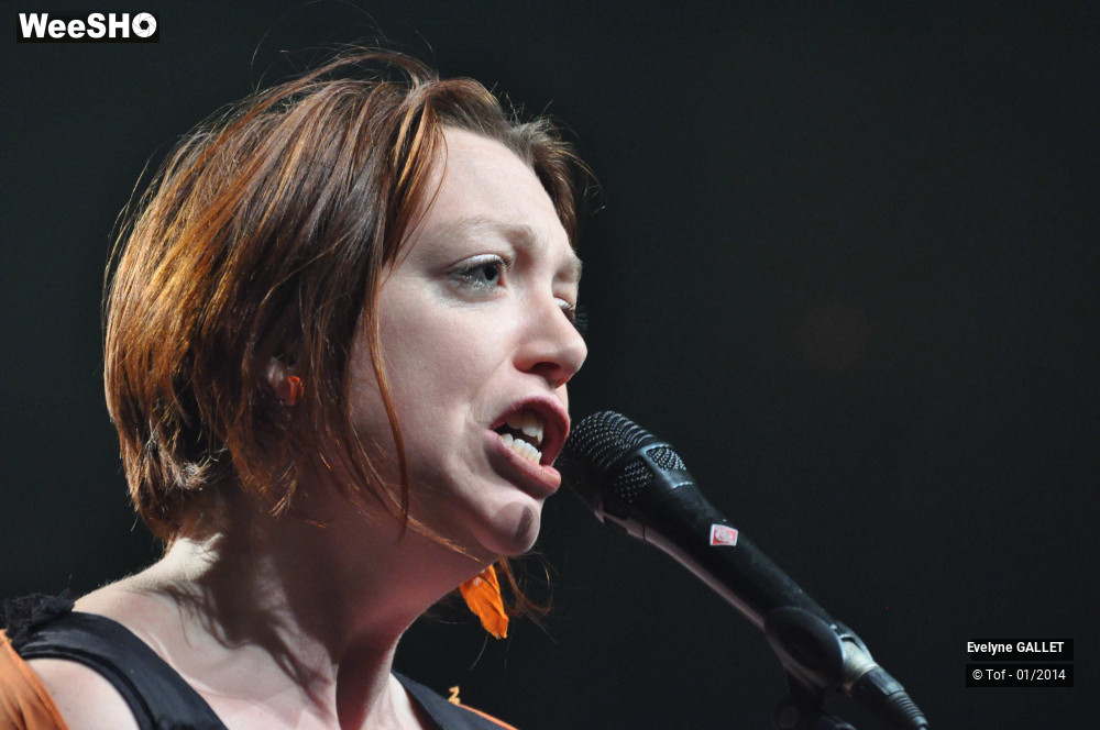 23/38 photos du spectacle Evelyne Gallet