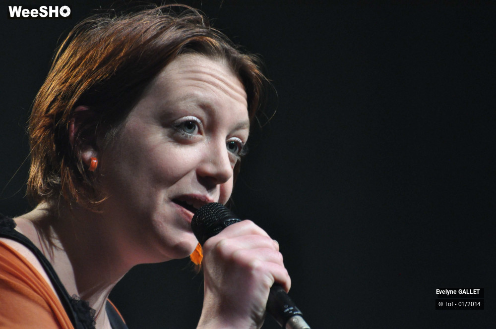 24/38 photos du spectacle Evelyne Gallet