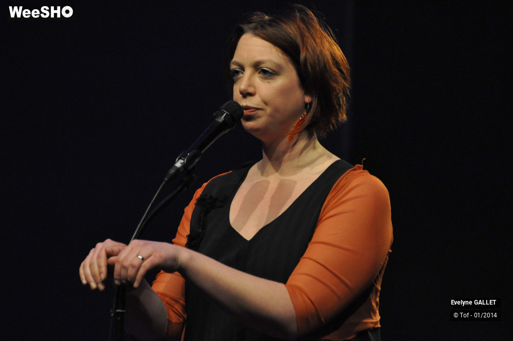 26/38 photos du spectacle Evelyne Gallet