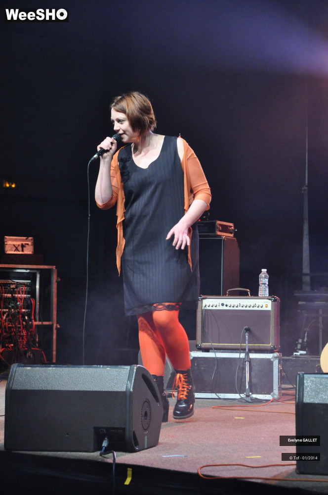 30/38 photos du spectacle Evelyne Gallet