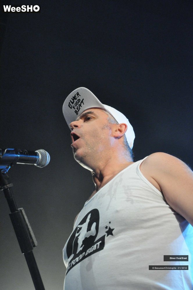 61/63 photos du spectacle Elmer Food Beat