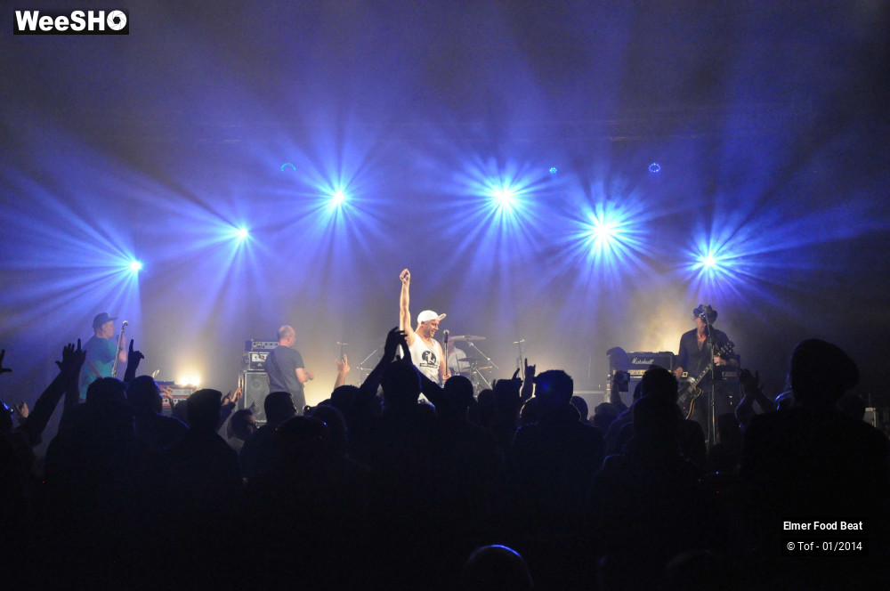 12/63 photos du spectacle Elmer Food Beat