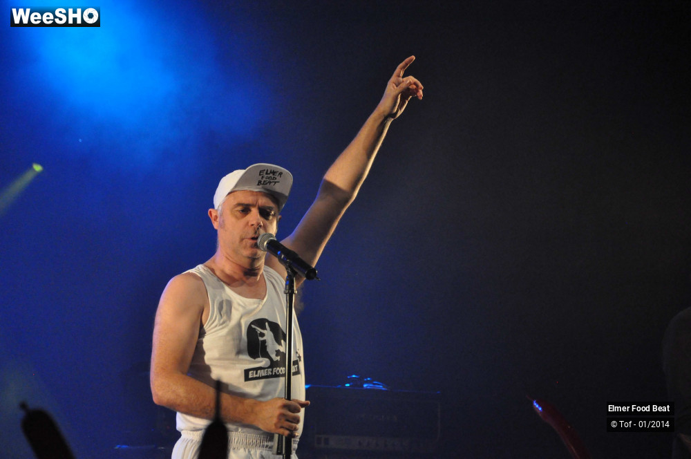 16/63 photos du spectacle Elmer Food Beat