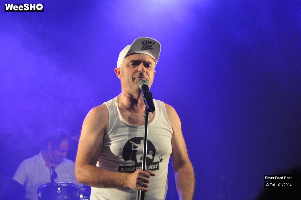 17/63 photos du spectacle Elmer Food Beat
