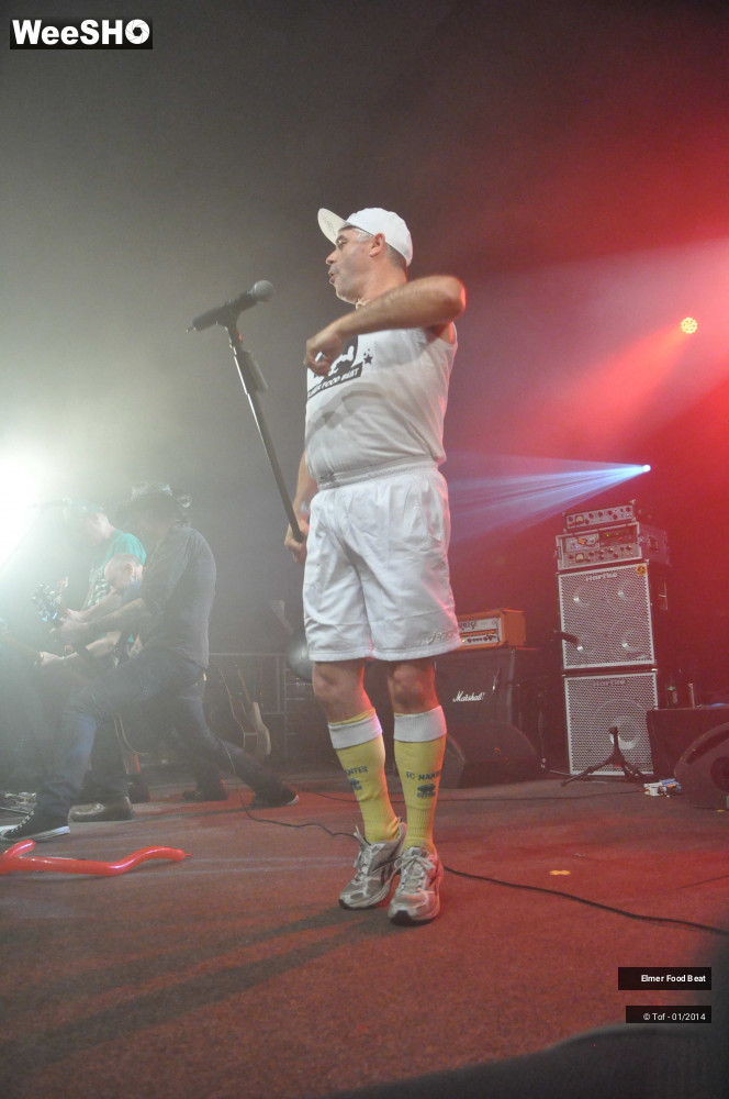22/63 photos du spectacle Elmer Food Beat