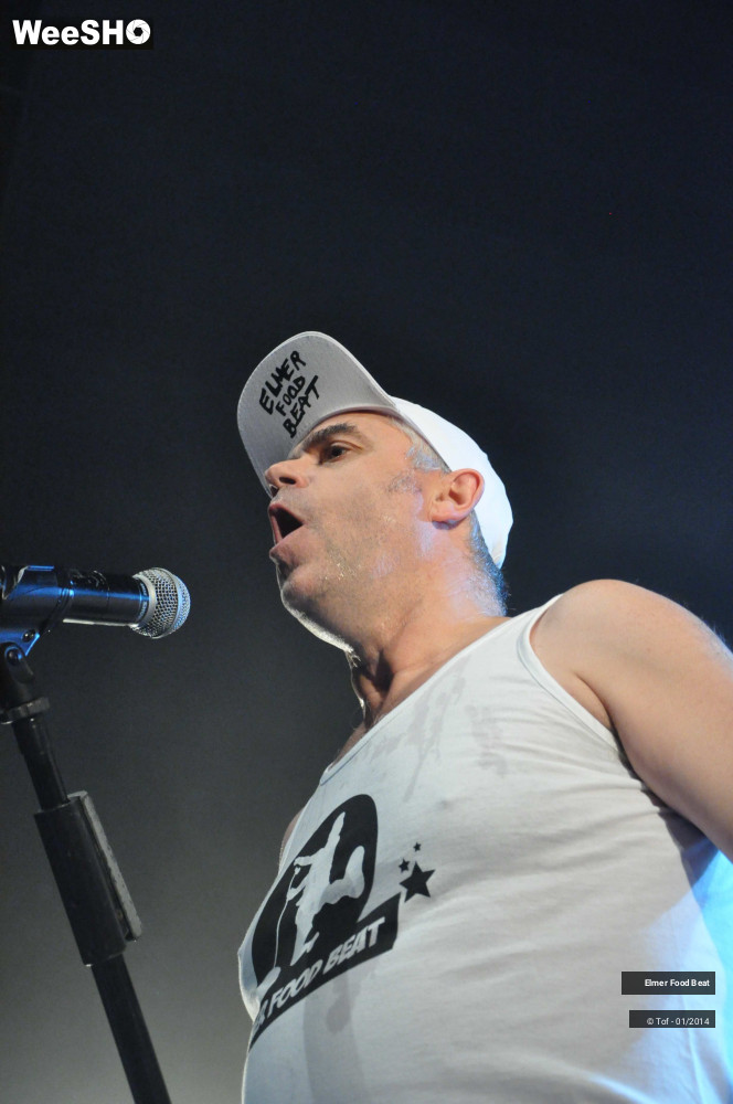 24/63 photos du spectacle Elmer Food Beat