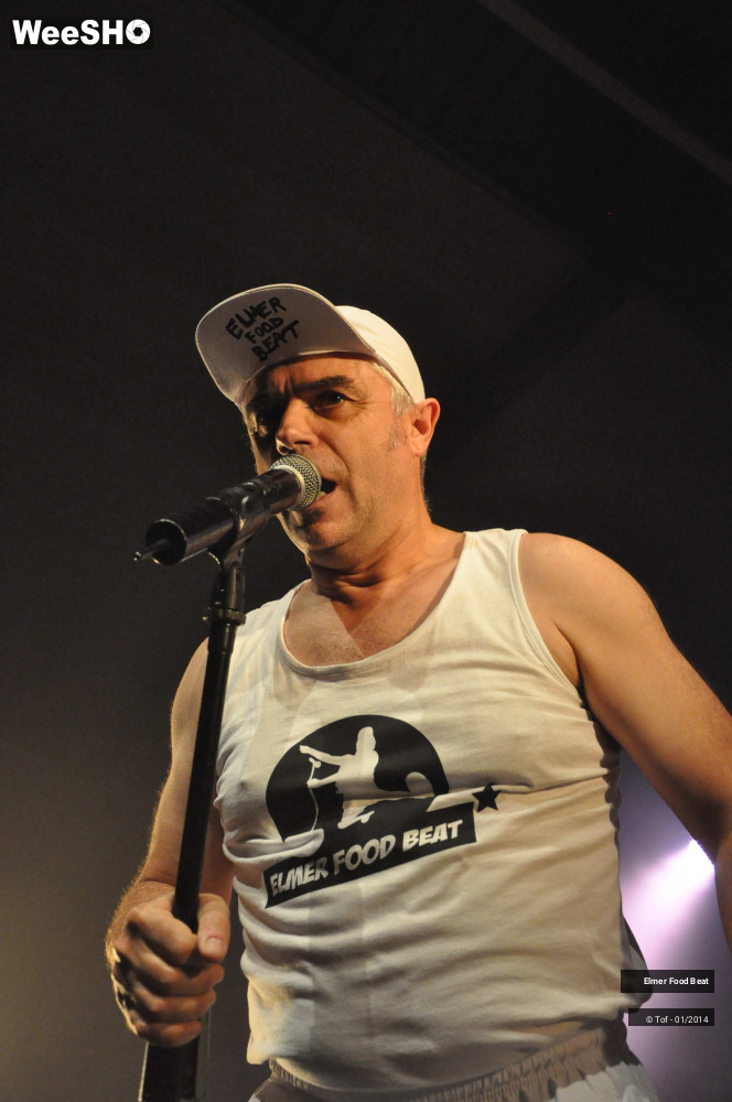 27/63 photos du spectacle Elmer Food Beat