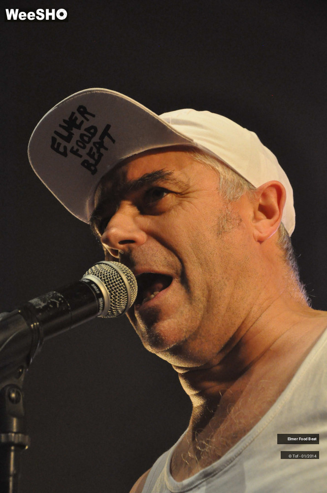 28/63 photos du spectacle Elmer Food Beat