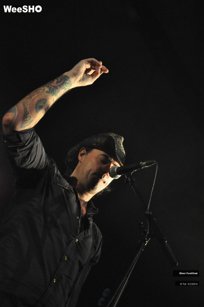 29/63 photos du spectacle Elmer Food Beat