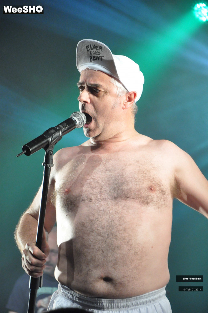 38/63 photos du spectacle Elmer Food Beat