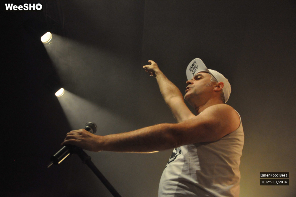 43/63 photos du spectacle Elmer Food Beat