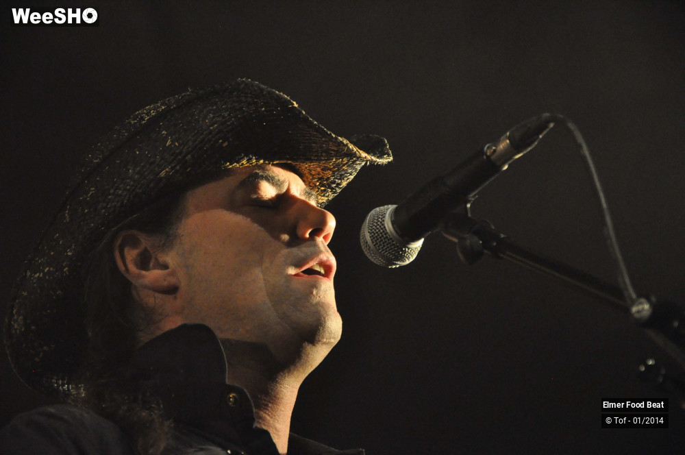44/63 photos du spectacle Elmer Food Beat