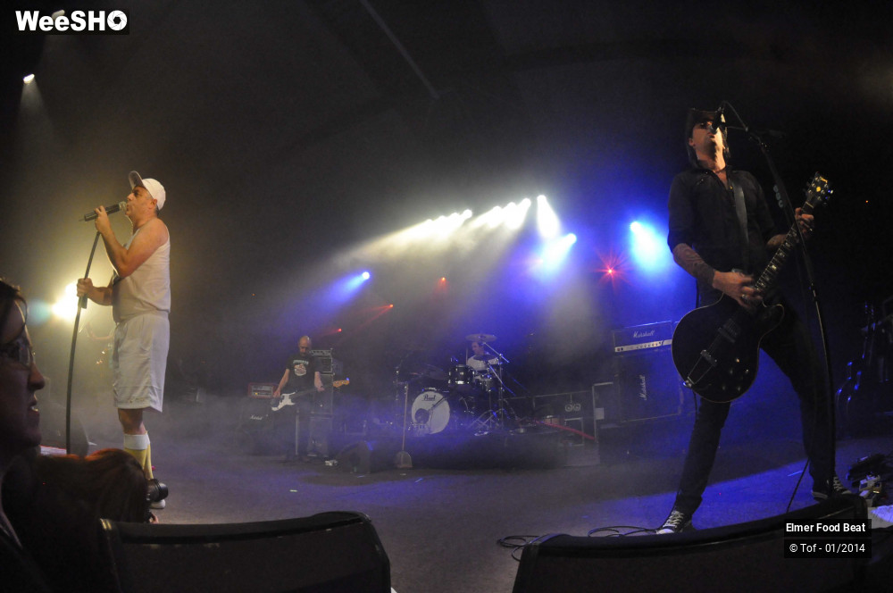 49/63 photos du spectacle Elmer Food Beat