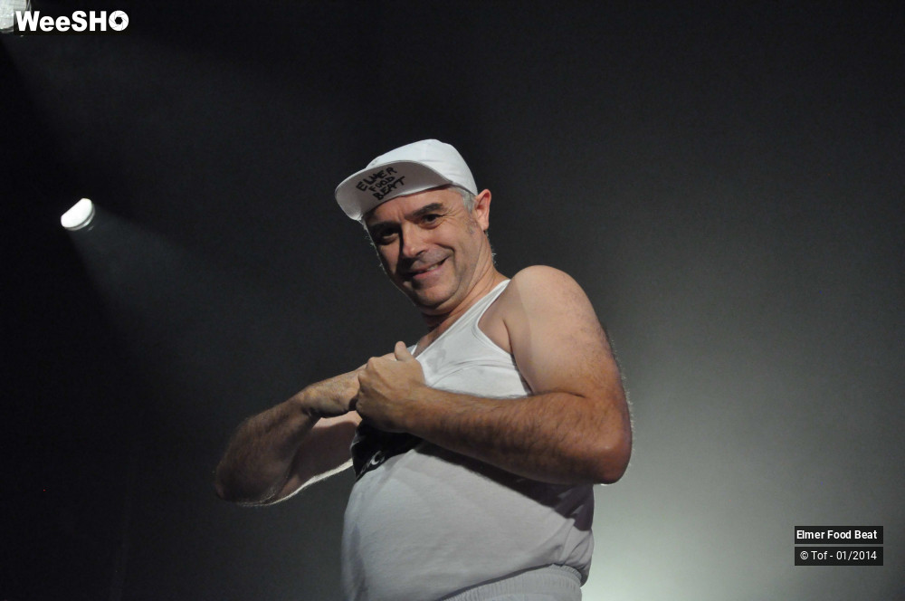 51/63 photos du spectacle Elmer Food Beat