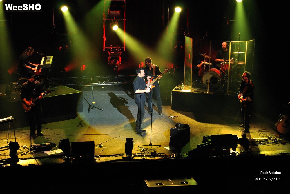 3/10 photos du spectacle Roch Voisine