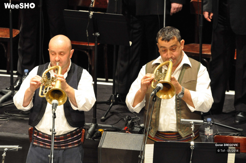 20/64 photos du spectacle Goran Bregovic