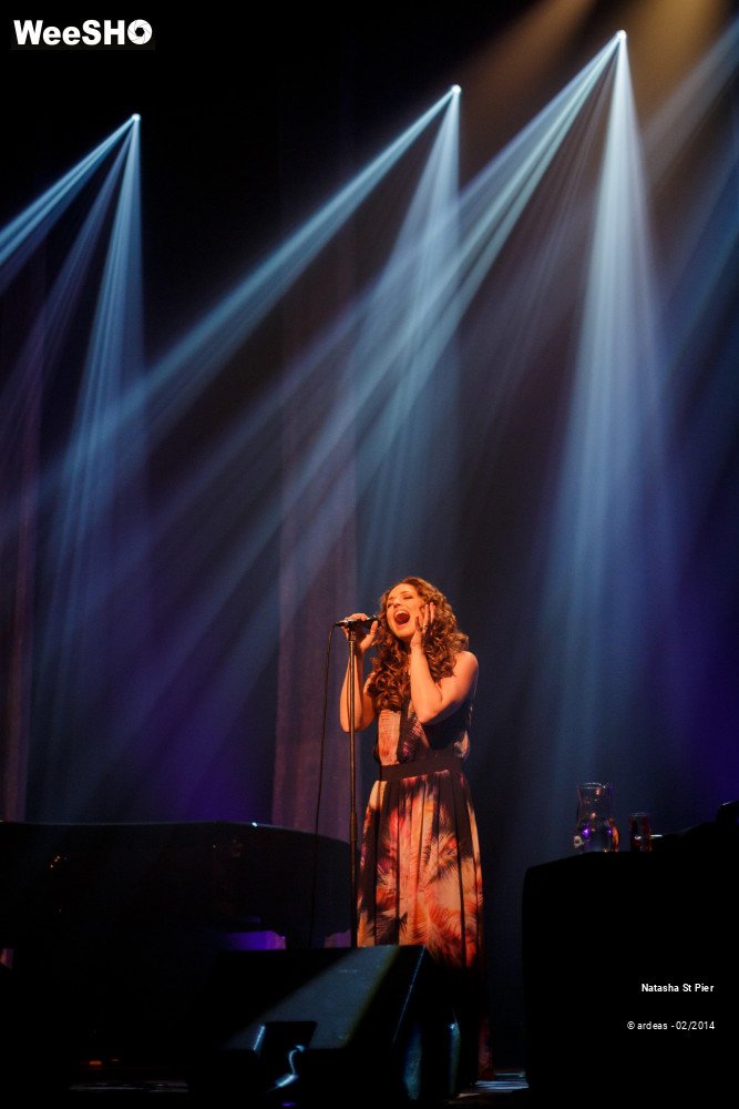 15/41 photos du spectacle Natasha St Pier