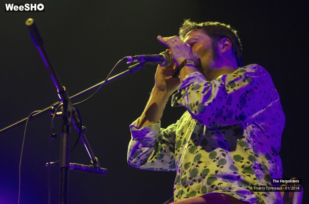 11/50 photos du spectacle The Harpsliders