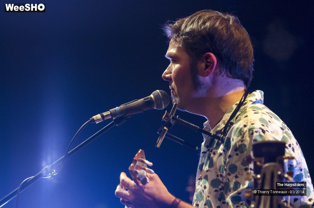 15/50 photos du spectacle The Harpsliders