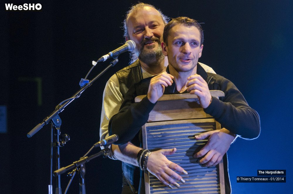 19/50 photos du spectacle The Harpsliders