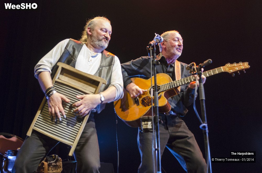 23/50 photos du spectacle The Harpsliders