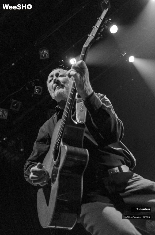 37/50 photos du spectacle The Harpsliders