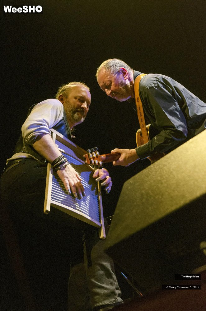 39/50 photos du spectacle The Harpsliders