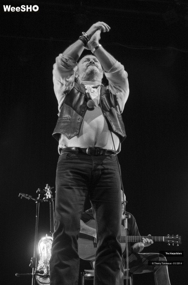 42/50 photos du spectacle The Harpsliders