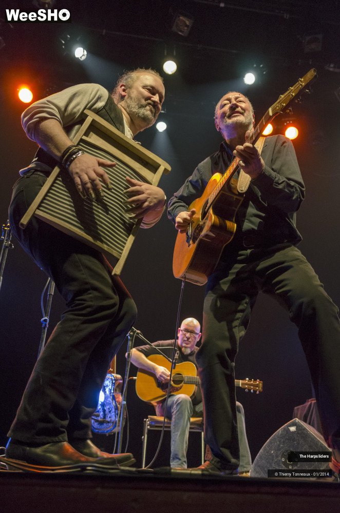 48/50 photos du spectacle The Harpsliders